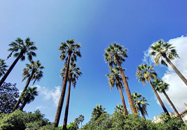 Apartment in Nice - FRENCH RIVIERA - MOBILITY LEASE FROM 1 TO 10 MONTHS Apartment in Nice - FRENCH RIVIERA - MOBILITY LEASE FROM 1 TO 10 MONTHS