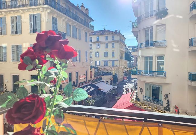 Appartement à Nice - N&J  - MELODIE DU SUD - Centre - Proche mer Appartement à Nice - N&J  - MELODIE DU SUD - Centre - Proche mer